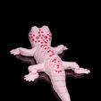Gecko6.jpg Osga