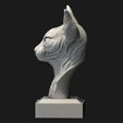 3.jpg SPHYNX CAT SCULPTED - No supports