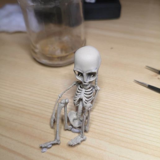 IMG_20220218_164607.jpg Alien skeleton, skeleton in the jar