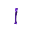 Tibia_Right.OBJ OBJ file Velociraptor skeleton life size Part02/05・3D printer model to download