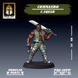 C1.jpg Commando: Command Squad