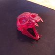 1614110082870.jpg "Cat Skull" : 3D file for sale