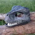 mask1.jpg STL file RAPTOR MASK・3D printing template to download