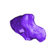 Illium_Left_Part_01.OBJ OBJ file Life size baby T-rex skeleton - Part 02/10・Model to download and 3D print
