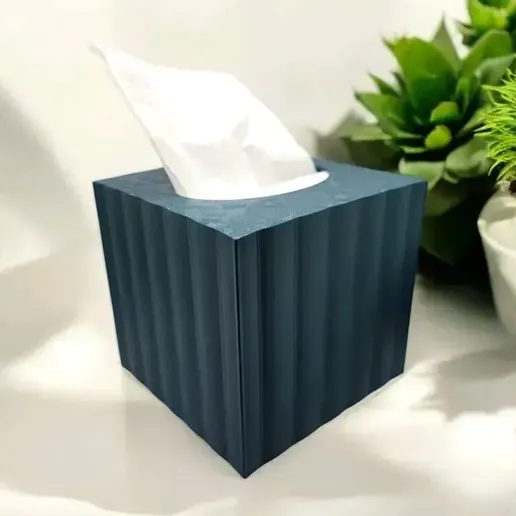 2024-11-27_1ff51b3597f0e.webp Boîte à mouchoirs