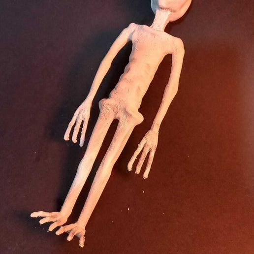 WhatsApp-Image-2023-09-17-at-2.01.23-AM-1.jpeg 秘鲁纳斯卡的外星木乃伊