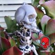 Skeleton_03a_WithLogo.jpg Fully Articulated Human Skeleton 3D Print-In-Place STL Model Fidget Toy