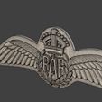 WW2-British-Royal-Air-Force-Wings-I-0012.jpg 二战英国皇家空军机翼 I