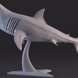 10.png White Shark Statue