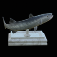Barracuda-huba-trophy-8.png fish great barracuda statue detailed texture for 3d printing