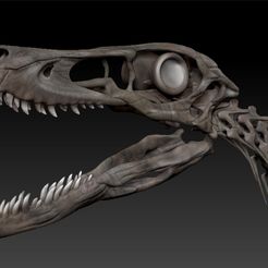 velociraptor-skeleton-full-3d-raptor-dinosaur-bones-3d-model-329edf473c.jpg Fichier OBJ Squelette de Velociraptor - Ossements de dinosaures Raptor en 3D・Modèle imprimable en 3D à télécharger