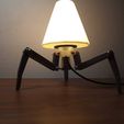 WhatsApp-Image-2024-09-01-at-22.34.13.jpeg Chandelier #2