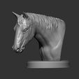 horses-head-3d-print-model-3d-model-c72877db18.jpg Horses head 3D print model