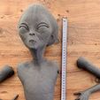 ImportedPhoto.761818970.899437.jpeg Grey Alien Wall Bust
