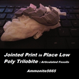 lptaf4.png Jointed Print in Place Low Poly Trilobite : Articulated Fossils