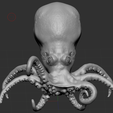 Capture2.png STL file Octopus・3D printing idea to download, ArronShaw