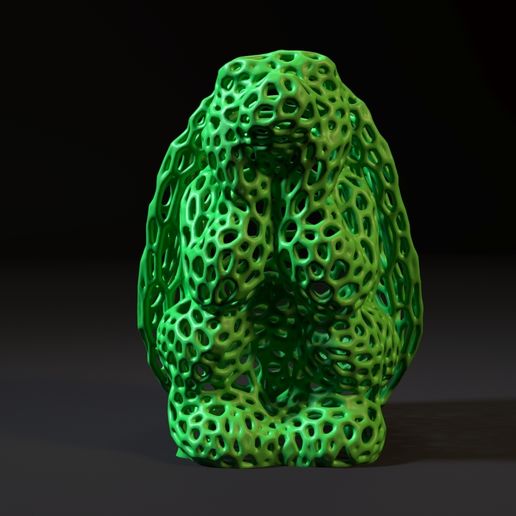 10007.jpg Черепаха Вороного