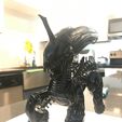 309801209_507046414215635_3954832690162380719_n.jpg My Little Xeno pony xenomorph aliens