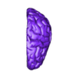 left_brain_stl.stl 3D Model of Left and Right Brain