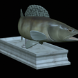 zander-statue-4-mouth-open-8.png fish zander / pikeperch / Sander lucioperca open mouth statue detailed texture for 3d printing