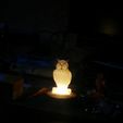 IMG_20180403_155427.jpg Owl LED Lamp
