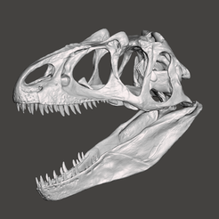 Screenshot-41.png STL file Allosaurus dinosaur skull・Model to download and 3D print
