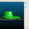 3D printable model.jpg Aussie hat 2