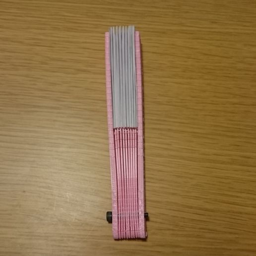 DSC_0263.jpg mini 扇子