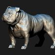 10.jpg Bulldog model 3D print model