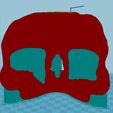 02.JPG Skull Mask - Face of Evil #1