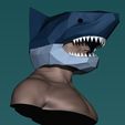 5.jpg shark head helmet