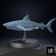 01.jpg 🦈 Modelo 3D de tubarão - O predador mais importante do oceano