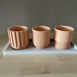 thumbnail_IMG_4175.jpg plant pot