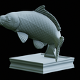 Carp-trophy-statue-35.png fish carp / Cyprinus carpio in motion trophy statue detailed texture for 3d printing