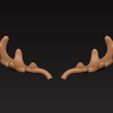 zz-2081909.jpg Moose Antler