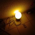 P_20221210_235131.jpg Lampe oeuf autruche / Ostrich egg lamp