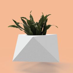 octa-01.jpg STL file Concrete planter mold・3D printing idea to download