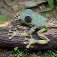 zebra-frog.png Articulated Zebra 🦓 Frog 🐸 Multi part
