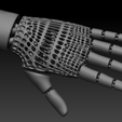 Articulated-Hand4.png Articulated Hand Model