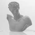 Captura-de-pantalla-2024-06-03-001607.png HERMES BUST