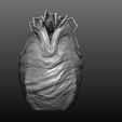pose a 4.jpg Alien Facehugger Emerging from an Egg