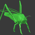 Saltamonte.PNG Grasshopper - Grasshopper