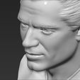 19.jpg Geralt of Rivia The Witcher Cavill bust 3D printing ready