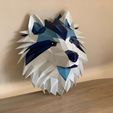 IMG_6605.jpg Wolf Bust Low Poly / Dog Bust LowPoly