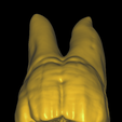 Molar-Sculpt-Justin-Taylor.png Lower First Molar - 2 Sculpts - Free