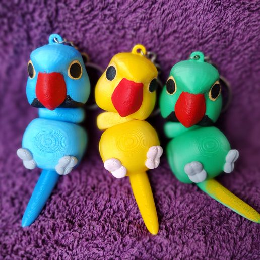 IMG_20250219_145440338_MF_PORTRAIT.jpg 环颈鹦鹉钥匙链