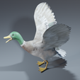 0016.png Photorealistic duck - posable/rigged [stl file included ]