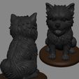 Affenpinscher-render-3.jpg Affenpinscher Dog