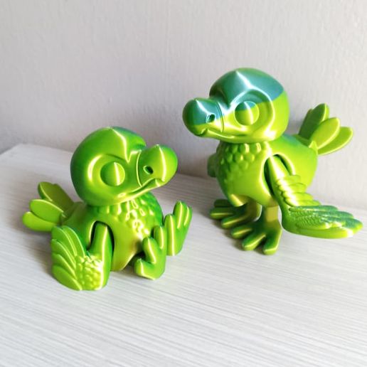 WhatsApp-Image-2023-06-15-at-8.11.26-AM.jpeg Little Flexi Dodo