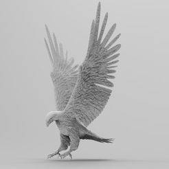 STL file Bald Eagle Head AM07 3D print model 👨‍🦲・Design to download and  3D print・Cults